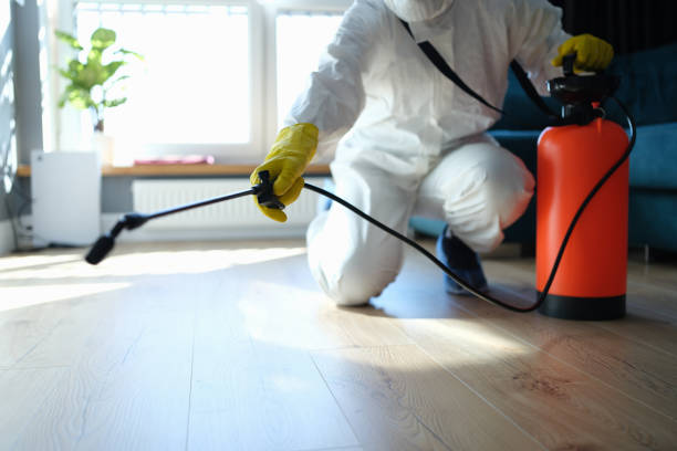 Reliable Odor Removal contractor in Joseph, OR by Trauma Clean Pros